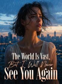 The World Is Vast, But I Will Never See You Again