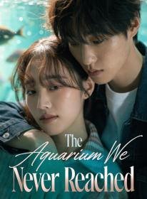The Aquarium We Never Reached