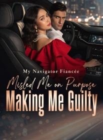 My Navigator Fiancée Misled Me on Purpose, Making Me Guilty