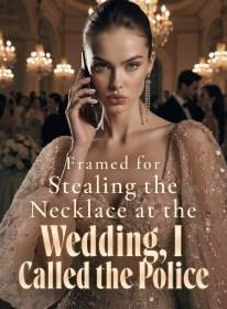 Framed for Stealing the Necklace at the Wedding, I Called the Police
